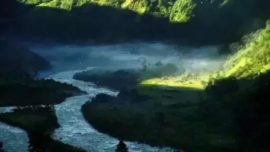 月光影视