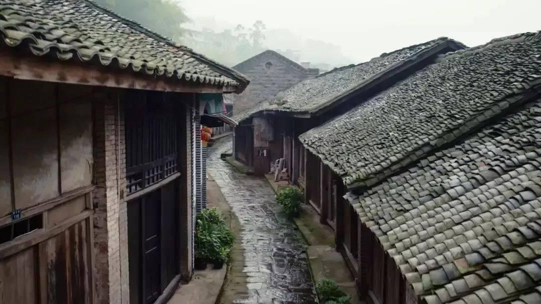 你煮火锅必吃哪样菜？